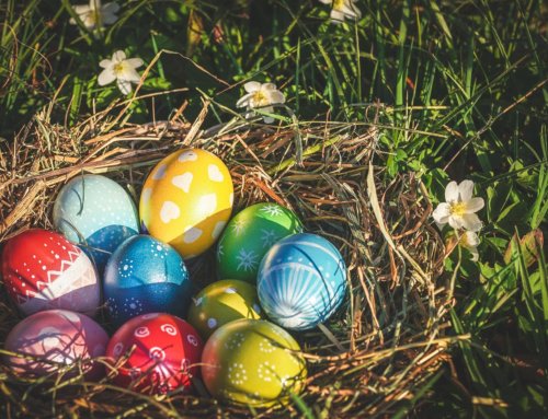 An Eggcellent strategy to increase family bookings this Easter